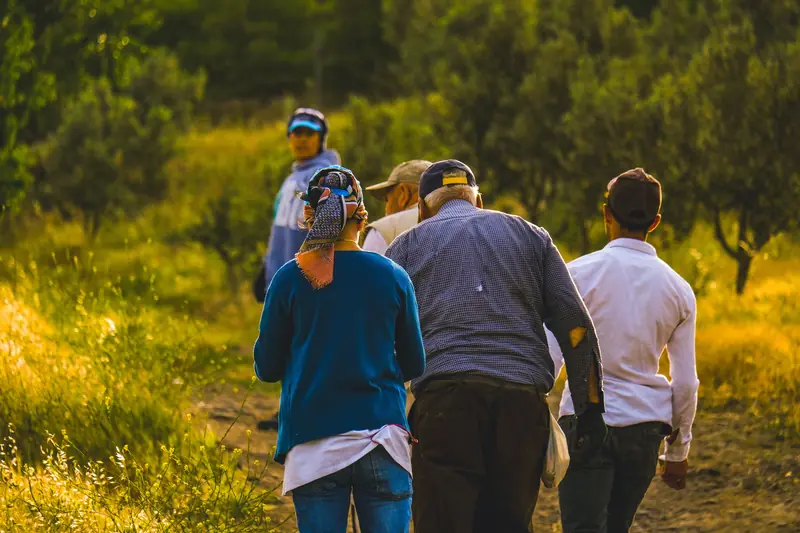 Foto ilustrativa: grupo de pessoas caminhando juntas por um pomar, sob a luz dourada do fim da tarde